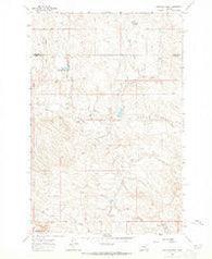 Kincheloe Ranch Montana Historical topographic map, 1:24000 scale, 7.5 X 7.5 Minute, Year 1962