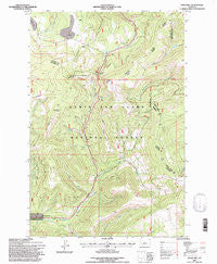 Kings Hill Montana Historical topographic map, 1:24000 scale, 7.5 X 7.5 Minute, Year 1995