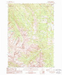Koch Peak Montana Historical topographic map, 1:24000 scale, 7.5 X 7.5 Minute, Year 1988