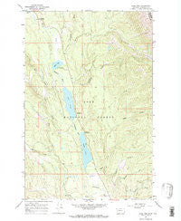 Lake Inez Montana Historical topographic map, 1:24000 scale, 7.5 X 7.5 Minute, Year 1965