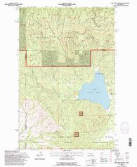 Lake Mary Ronan Montana Historical topographic map, 1:24000 scale, 7.5 X 7.5 Minute, Year 1994