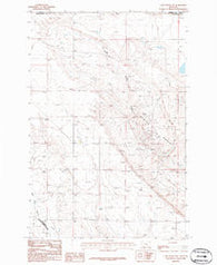 Lake Mason NW Montana Historical topographic map, 1:24000 scale, 7.5 X 7.5 Minute, Year 1986