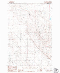 Lake Mason NW Montana Historical topographic map, 1:24000 scale, 7.5 X 7.5 Minute, Year 1986