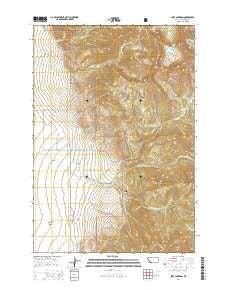 Lake Cameron Montana Current topographic map, 1:24000 scale, 7.5 X 7.5 Minute, Year 2014