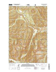 Lake Mountain Montana Current topographic map, 1:24000 scale, 7.5 X 7.5 Minute, Year 2014