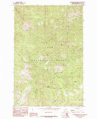 Landowner Mountain Montana Historical topographic map, 1:24000 scale, 7.5 X 7.5 Minute, Year 1985