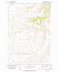 Leiberg Coulee Montana Historical topographic map, 1:24000 scale, 7.5 X 7.5 Minute, Year 1978