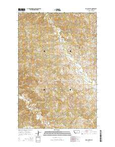 Lelig Coulee Montana Current topographic map, 1:24000 scale, 7.5 X 7.5 Minute, Year 2014