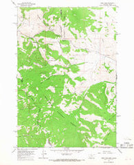 Lemhi Pass Montana Historical topographic map, 1:24000 scale, 7.5 X 7.5 Minute, Year 1965