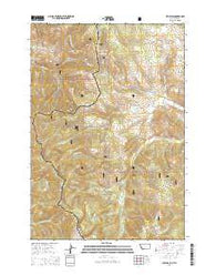 Lemhi Pass Montana Current topographic map, 1:24000 scale, 7.5 X 7.5 Minute, Year 2014