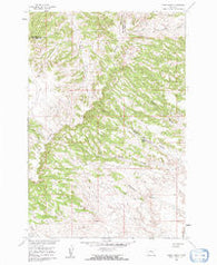 Lemon Ranch Montana Historical topographic map, 1:24000 scale, 7.5 X 7.5 Minute, Year 1960