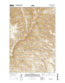 Lemon Ranch Montana Current topographic map, 1:24000 scale, 7.5 X 7.5 Minute, Year 2014