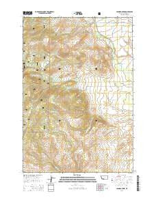Leonard Creek Montana Current topographic map, 1:24000 scale, 7.5 X 7.5 Minute, Year 2014