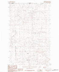 Lighthouse Hill Montana Historical topographic map, 1:24000 scale, 7.5 X 7.5 Minute, Year 1984