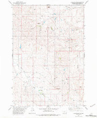 Lightning Butte Montana Historical topographic map, 1:24000 scale, 7.5 X 7.5 Minute, Year 1982