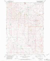 Lightning Butte Montana Historical topographic map, 1:24000 scale, 7.5 X 7.5 Minute, Year 1982