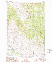 Limestone Ridge Montana Historical topographic map, 1:24000 scale, 7.5 X 7.5 Minute, Year 1989