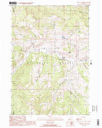 Lincoln Mountain Montana Historical topographic map, 1:24000 scale, 7.5 X 7.5 Minute, Year 1988