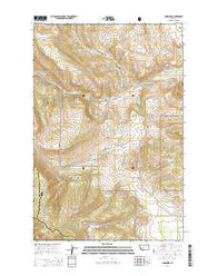 Lingshire Montana Current topographic map, 1:24000 scale, 7.5 X 7.5 Minute, Year 2014