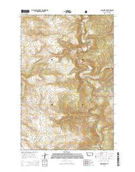 Lingshire NE Montana Current topographic map, 1:24000 scale, 7.5 X 7.5 Minute, Year 2014