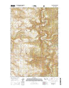 Lingshire NE Montana Current topographic map, 1:24000 scale, 7.5 X 7.5 Minute, Year 2014
