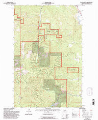 Lion Mountain Montana Historical topographic map, 1:24000 scale, 7.5 X 7.5 Minute, Year 1994
