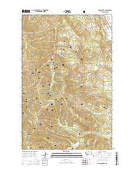 Lion Mountain Montana Current topographic map, 1:24000 scale, 7.5 X 7.5 Minute, Year 2014