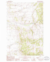 Lippert Gulch Montana Historical topographic map, 1:24000 scale, 7.5 X 7.5 Minute, Year 1986