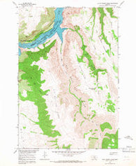 Little Finger Ridge Montana Historical topographic map, 1:24000 scale, 7.5 X 7.5 Minute, Year 1964