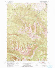 Livingston Peak Montana Historical topographic map, 1:24000 scale, 7.5 X 7.5 Minute, Year 1951