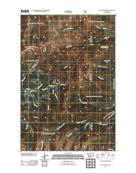 Loco Mountain Montana Historical topographic map, 1:24000 scale, 7.5 X 7.5 Minute, Year 2011