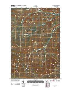 Loco Ridge Montana Historical topographic map, 1:24000 scale, 7.5 X 7.5 Minute, Year 2011