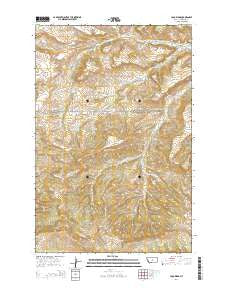 Loco Ridge Montana Current topographic map, 1:24000 scale, 7.5 X 7.5 Minute, Year 2014