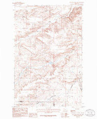 Lone Man Coulee East Montana Historical topographic map, 1:24000 scale, 7.5 X 7.5 Minute, Year 1985