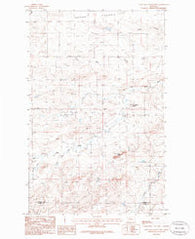 Lone Man Coulee West Montana Historical topographic map, 1:24000 scale, 7.5 X 7.5 Minute, Year 1985