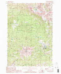 Lone Mountain Montana Historical topographic map, 1:24000 scale, 7.5 X 7.5 Minute, Year 1988