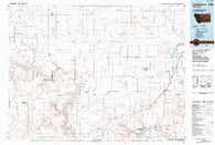 Lonesome Lake Montana Historical topographic map, 1:100000 scale, 30 X 60 Minute, Year 1984