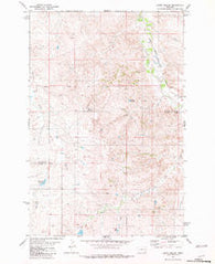 Loony Hollow Montana Historical topographic map, 1:24000 scale, 7.5 X 7.5 Minute, Year 1981