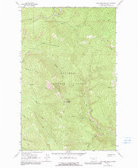 Lost Horse Mountain Montana Historical topographic map, 1:24000 scale, 7.5 X 7.5 Minute, Year 1963