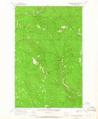 Lost Horse Mountain Montana Historical topographic map, 1:24000 scale, 7.5 X 7.5 Minute, Year 1963