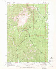 Lost Trail Pass Montana Historical topographic map, 1:24000 scale, 7.5 X 7.5 Minute, Year 1966