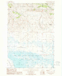 Lower Red Rock Lake Montana Historical topographic map, 1:24000 scale, 7.5 X 7.5 Minute, Year 1988