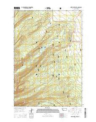Lower Miner Lakes Montana Current topographic map, 1:24000 scale, 7.5 X 7.5 Minute, Year 2014