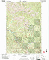 Lupine Creek Montana Historical topographic map, 1:24000 scale, 7.5 X 7.5 Minute, Year 1999