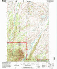Mackay Ranch Montana Historical topographic map, 1:24000 scale, 7.5 X 7.5 Minute, Year 1996