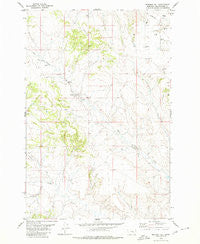Mailbox Hill Montana Historical topographic map, 1:24000 scale, 7.5 X 7.5 Minute, Year 1980