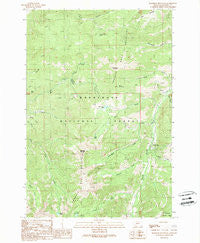 Manhead Mountain Montana Historical topographic map, 1:24000 scale, 7.5 X 7.5 Minute, Year 1989