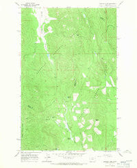 Mantrap Fork Montana Historical topographic map, 1:24000 scale, 7.5 X 7.5 Minute, Year 1966