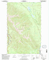 Mc Gee Meadow Montana Historical topographic map, 1:24000 scale, 7.5 X 7.5 Minute, Year 1994