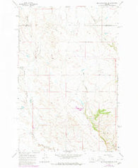 Mc Ginnis Butte SE Montana Historical topographic map, 1:24000 scale, 7.5 X 7.5 Minute, Year 1965